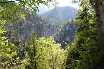 Travel, rocks, mountains, forests, nature, castle, sky, architecture, history, cathedral, monument, statue, panorama, city, plants, flowers