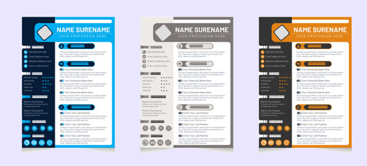 Modern Minimalist CV and Cover Letter Template for Professionals