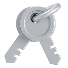 Silver keys 3D icon