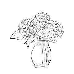 Line art. Vase with hydrangea flowers in line art style.