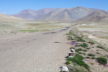 Track along the Bartang Valley in the Gorno-Badakhshan region in Tajikistan