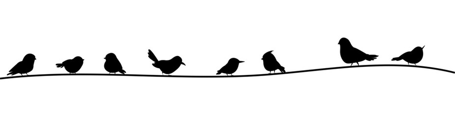 Black birds silhouettes sitting on rope or voltage line. Isolated wall sticker template with bird. Tiny flying forest characters, vector background