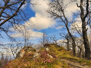 Maybe my most favourite photo. So much beauty. 