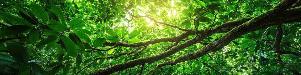 Obraz premium Lush Canopy of Life: A panorama of a dense rainforest, focusing on the vibrant green leaves and intertwining branches.