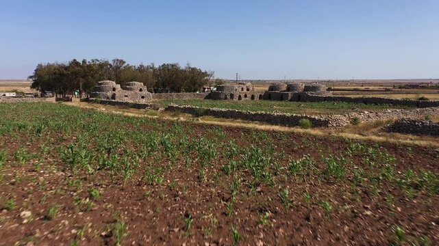 Drone shot of Tazotas, which is a type of agricultural hut, built entirely of dry stone, erected near douars in Morocco's Doukkala region.