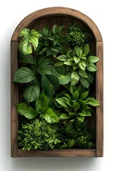 Diverse mix of flourishing  verdant houseplants showcased in a distressed wooden window box  set against a clean  bright white background  creating a natural and botanical interior design display