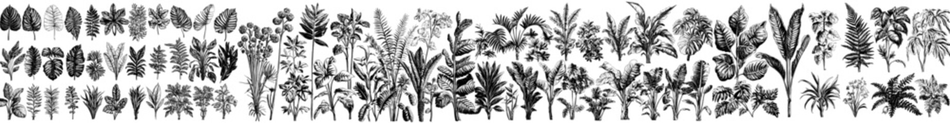 The leaf plants, tropical green leaves, branches of flowers and ferns are all set atop a white background in a flat modern illustration. Fern, ficus and flowers are lit from within the illustration.