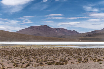 atacama desert