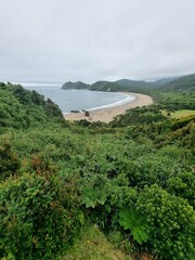cole cole playa Chiloe
