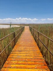 Fototapeta premium san pedro de atacama wooden bridge