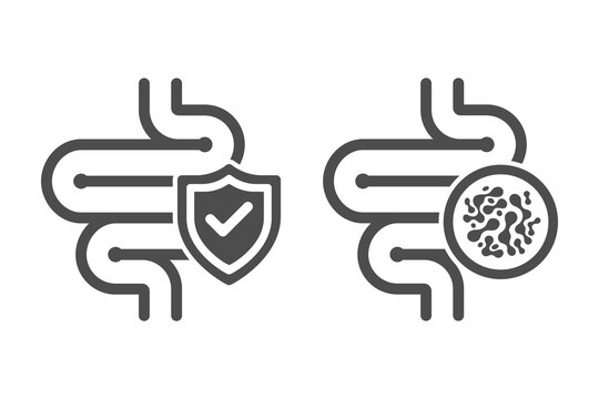 Healthy digestion icon set. Intestine graphic sign isolated on white background. Vector illustration