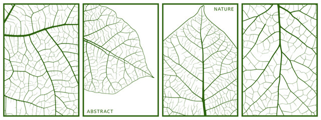 Close up leaf texture posters set. Nature green plant structure with veins and cells. Eco organic fresh greenery wallpaper. Botanical scientific research poster. Isolated simple flat style vector