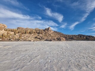 Cactus island uyuni salt flats
