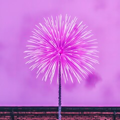 Pink firework burst against purple sky.