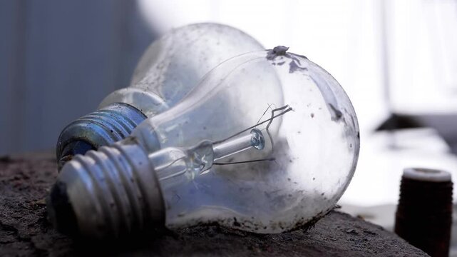 Two old dirty incandescent light bulbs lie on a dark surface. The background is blurred. Illustrates outdated technology, energy inefficiency, or the need for recycling.