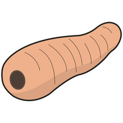 Hand draw fruits and vegetables. Fruits and vegetables.