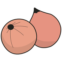 Hand draw fruits and vegetables. Fruits and vegetables.