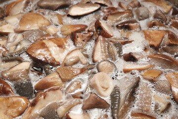 Chopped Mushrooms in the water