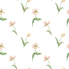 Seamless pattern of pastel pink light violet yellow bud Tulips watercolor illustration isolated on background. Hand drawn delicate spring perennial bulbous flower for spring wedding repeat design