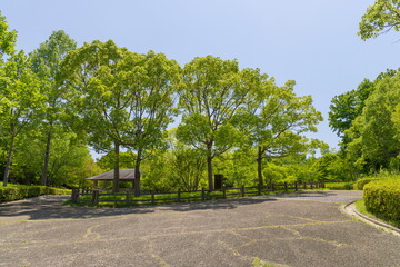 Obraz premium 新緑の西神中央公園 神戸市西区にて