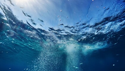 Marvel at the beauty of submerged gardens.  