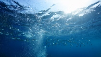 Let the ocean's wonders take your breath away.  