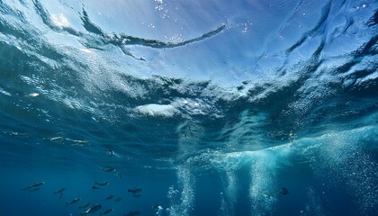 Discover the vibrant underwater ecosystems thriving.  