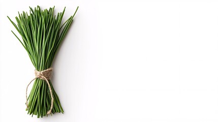 Isolated on white background bundle of chives tied together with natural string creating an elegant herb presentation and side empty space for text Stockphoto style