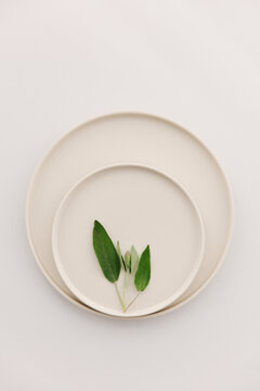 Fresh sage leaves on a set of beige plates.
