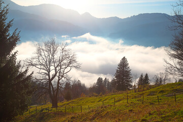 Landscape in the Alps