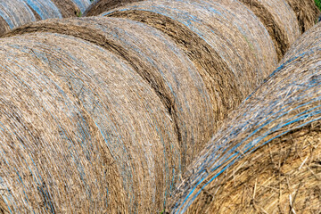 Hay rolls in a field