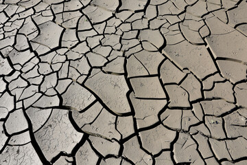 A riverbed dried up and cracked soil due to the lack of water and precipitation but also very high temperatures. Dried up river.
