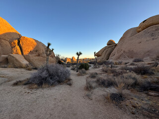 landscape in the desert