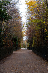 Parc d'Automne