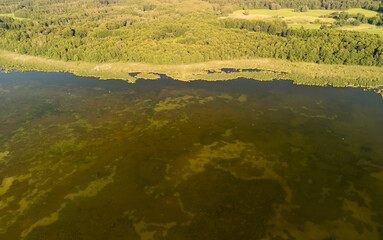 Bird-eye view of a serene lake surrounded by lush greenery and trees, showcasing the beauty of nature.