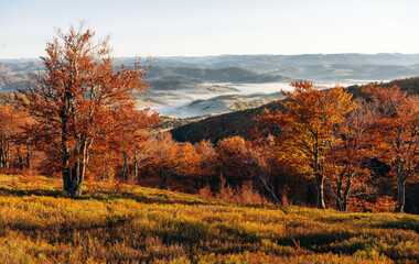 Fototapeta premium Fog is far away. Majestic view of Carpathian mountains, autumn season