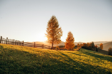 Fototapeta premium Beautiful nature, illuminated by sunlight. Majestic view of Carpathian mountains, autumn season