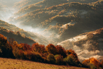 Fototapeta premium Raw wild nature. Majestic view of Carpathian mountains, autumn season