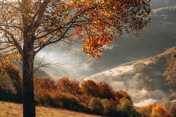 Fototapeta premium The hill. Majestic view of Carpathian mountains, autumn season