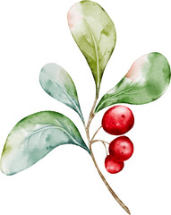 Watercolor arrangements of berries and leaves branches