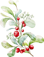 Watercolor arrangements of berries and leaves branches