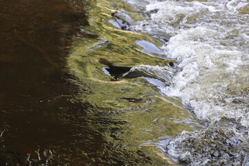 scène de mouvement de l'eau dans la rivière