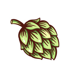 Green hop cone line icon. Outline hand drawn vintage fresh plant ingredient for making beer, decorative element of brewery emblem. Oktoberfest, harvest mascot, hop color icon vector illustration