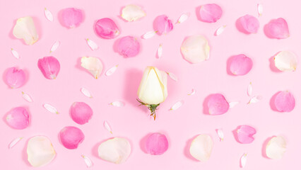 Pink and white natural petals of rose and chamomile flowers with rose bud in center on a pastel pink background.