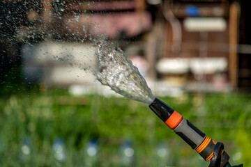 Water from the water sprayer on the plot in close-up.