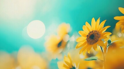 Obraz premium Sunflowers field under a vivid blue sky, bathed in sunlight