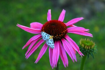 Tylko sobie na chwilę usiadłem © Magdalena