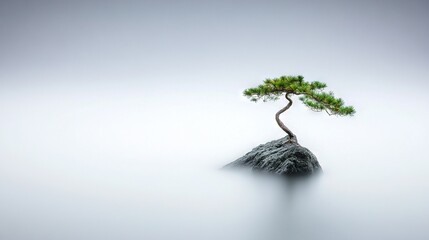   A solitary tree perched atop a rock amidst a body of water on a misty day