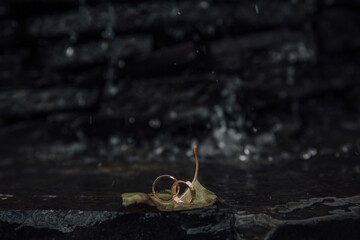 A couple's wedding rings are on a leaf that is on a rock. The image has a mood of sadness and loneliness