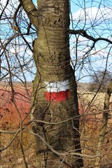 Polska ziemia © Magdalena